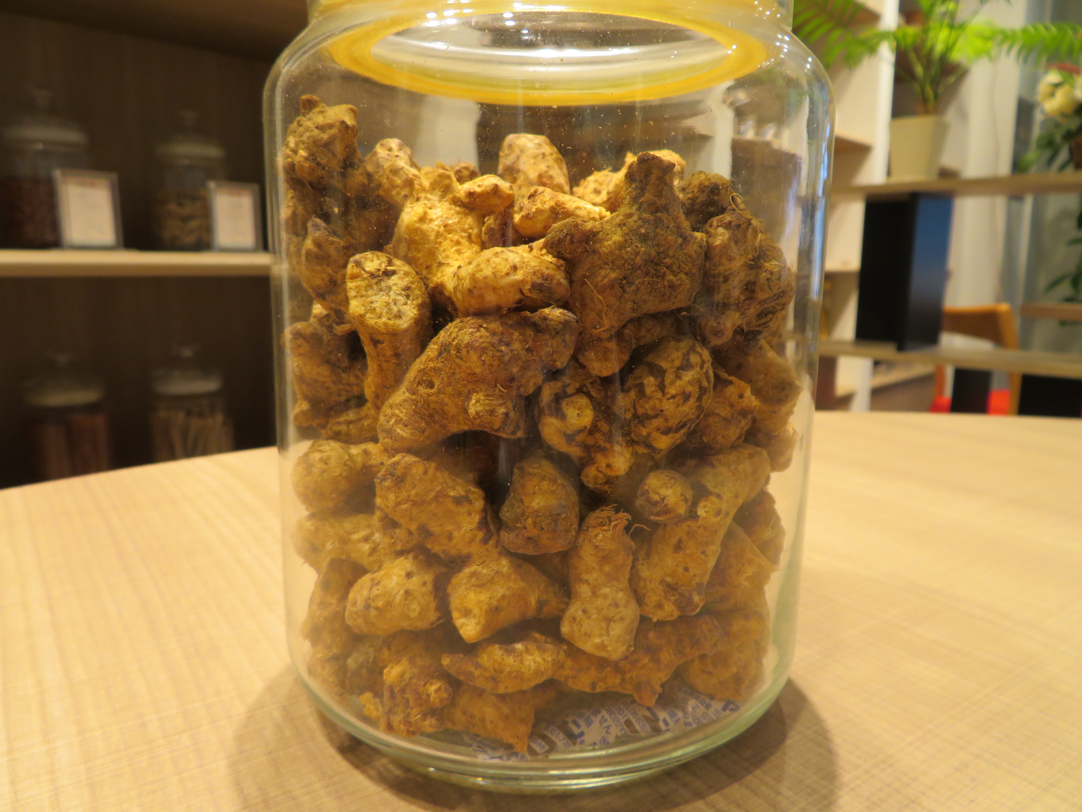 五苓散 Halenova Blog